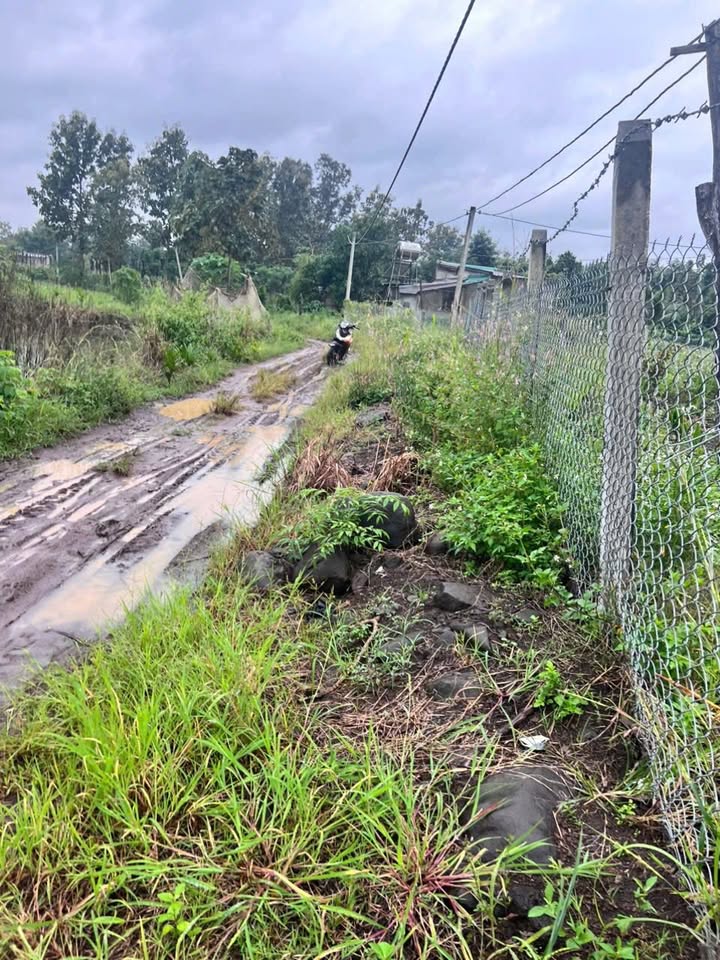 Đất nền Quảng Hiệp 11,000m² giá 2 tỷ - Tiềm năng đầu tư sinh lời!