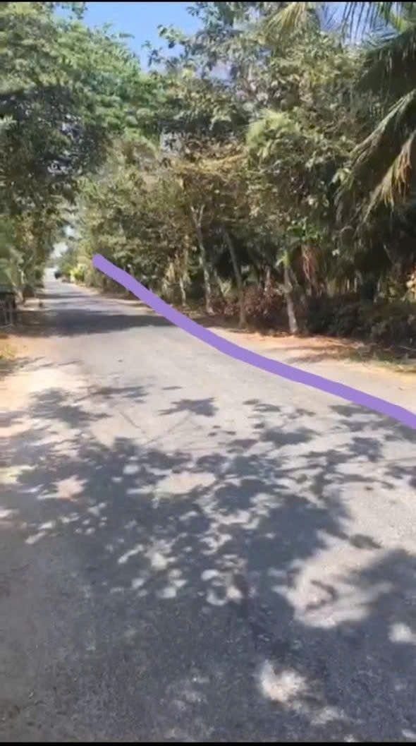 Đất mặt tiền 173, Phú Tân, 1300m² - Cơ hội đầu tư sinh lời!