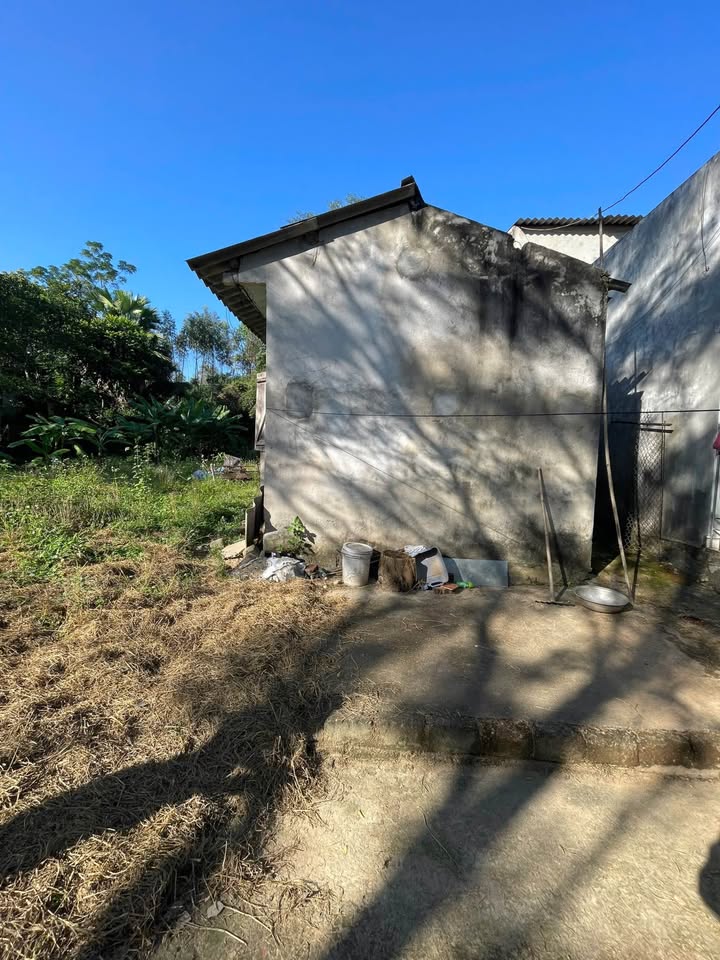 Bán đất tổ 4 phường Ỷ La, Tuyên Quang 324m² - Giá chỉ 2 tỷ, thổ cư 100%!