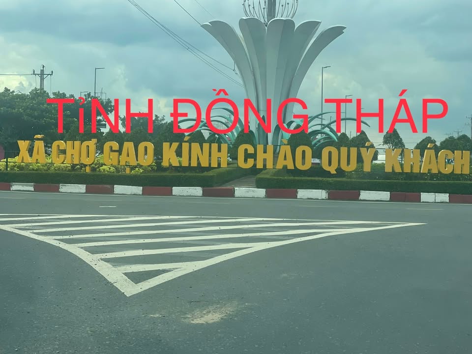 Đất nền liền kề đường số 14, xã Chợ Gạo, 250m² giá 2.8 tỷ - Pháp lý rõ ràng, thương lượng tốt!