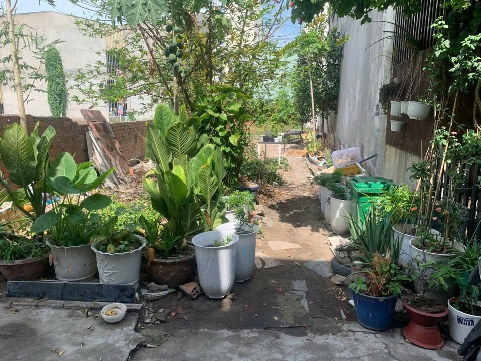 Đất thổ cư 233m² hẻm xe hơi Tân Thới Hiệp, giá 7.5 tỷ - Cơ hội đầu tư tuyệt vời!