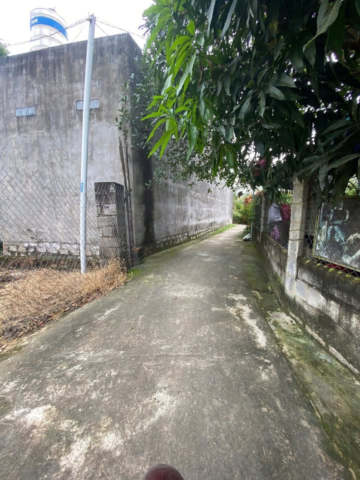 Đất nền Nguyễn Trường Tộ, Tân An, 204m² - Khu dân cư sầm uất, giá thương lượng