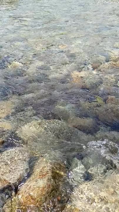 Đất Farm tại Cửa Tử, Đại Từ 2400m² giá chỉ 2 tỷ - Cơ hội đầu tư tuyệt vời!