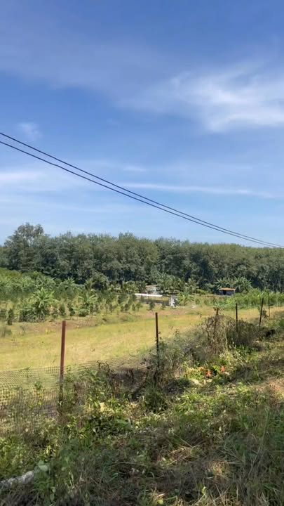 Đất nền Tân Định, Bắc Tân Uyên 16.000m² giá 16 tỷ - Tiềm năng đầu tư tuyệt vời!