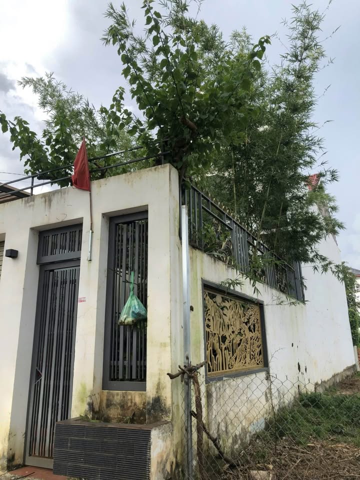 Nhà mặt tiền Nhựa, Buôn Ma Thuột 174.6m² giá 2.5 tỷ - Đầu tư không thể bỏ qua!