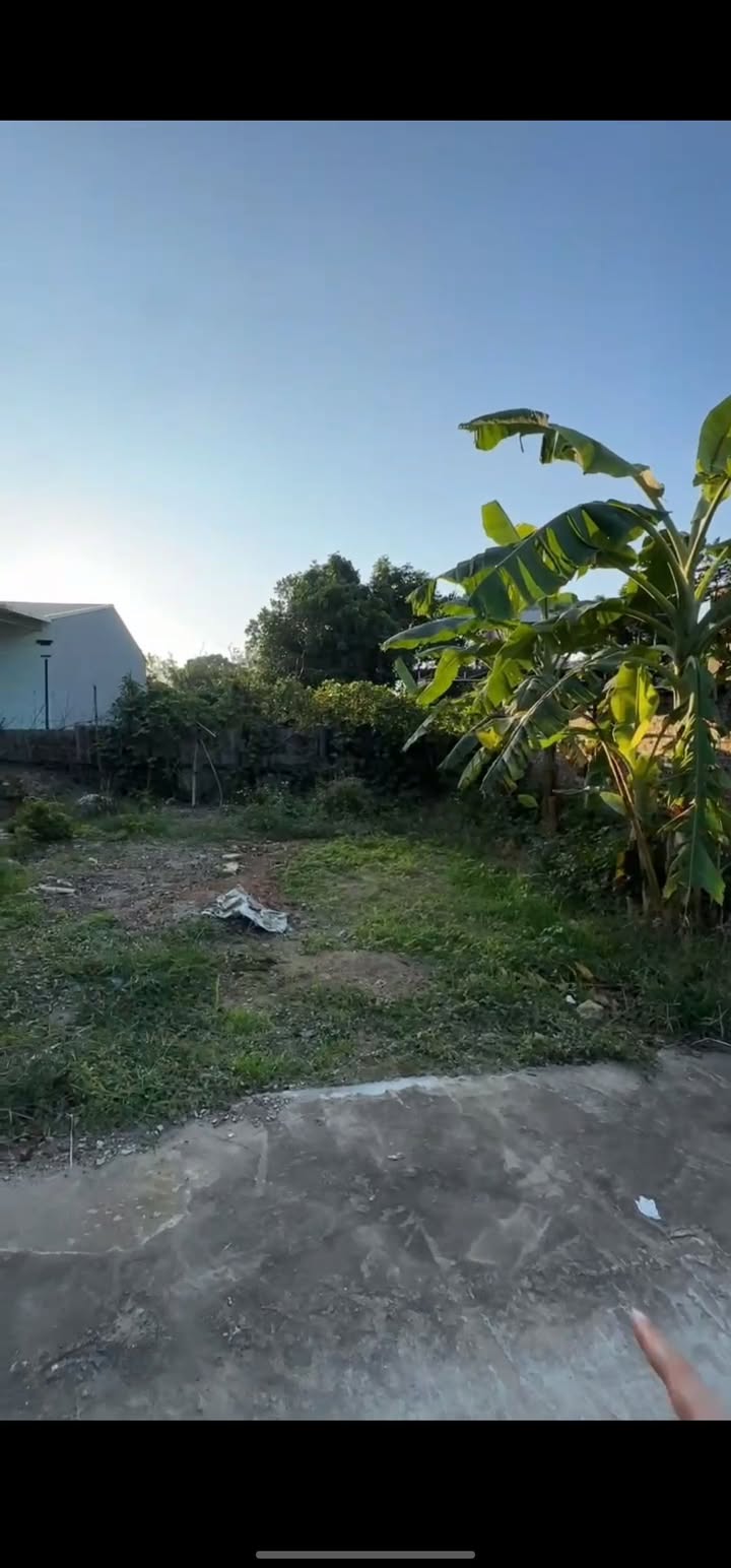 Đất nền Ngọc Châu Tân Yên 150m² - Gần trường, chợ, giá tốt