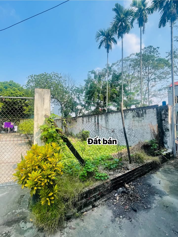 Đất Võng Xuyên 114m² giá chỉ 20 triệu - Tiềm năng phát triển tuyệt vời!