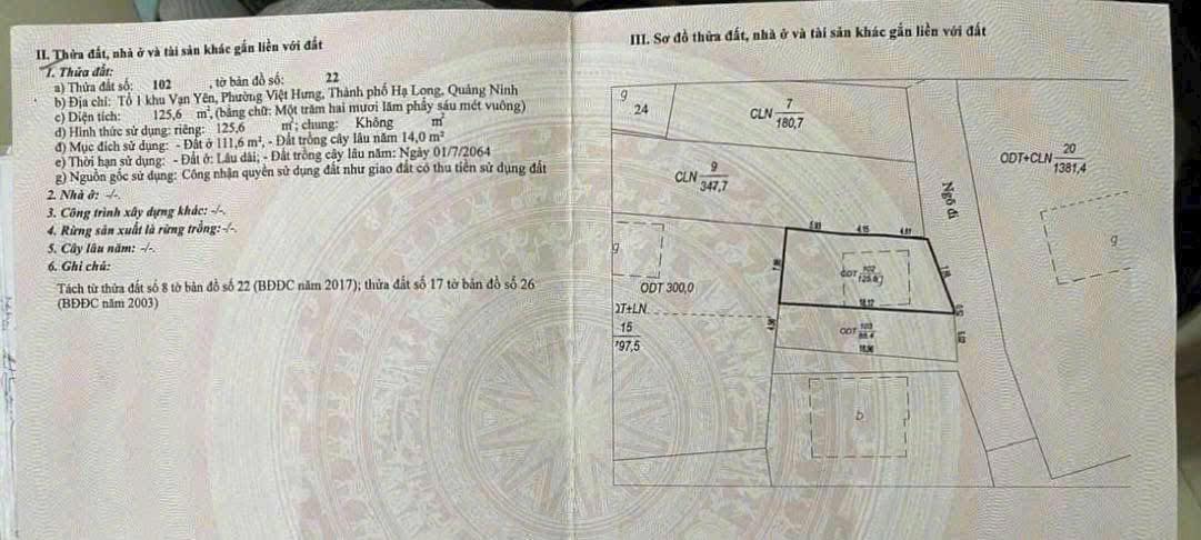 Đất thổ cư Vạn Yên 125,6m² giá 1.35 tỷ - Ô tô vào tận nơi!