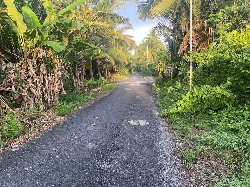 Đất vườn 11 công tại Tân Long Hội, Vĩnh Long - Gần mặt đường nhựa, giá chỉ 7 tỷ!