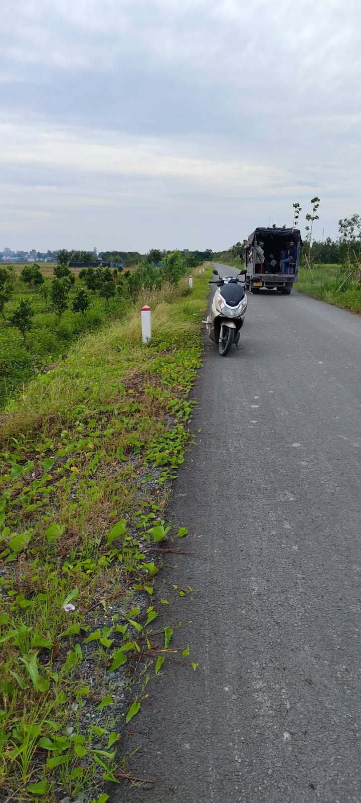 Đất vườn 16 công Mít Indo tại Định Thành, An Giang - Giá chỉ 4.147 tỷ!