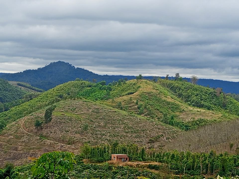 Đất rẫy 1ha tại xã Nam Đà, giá 470 triệu - Đầu tư sinh lời ngay!