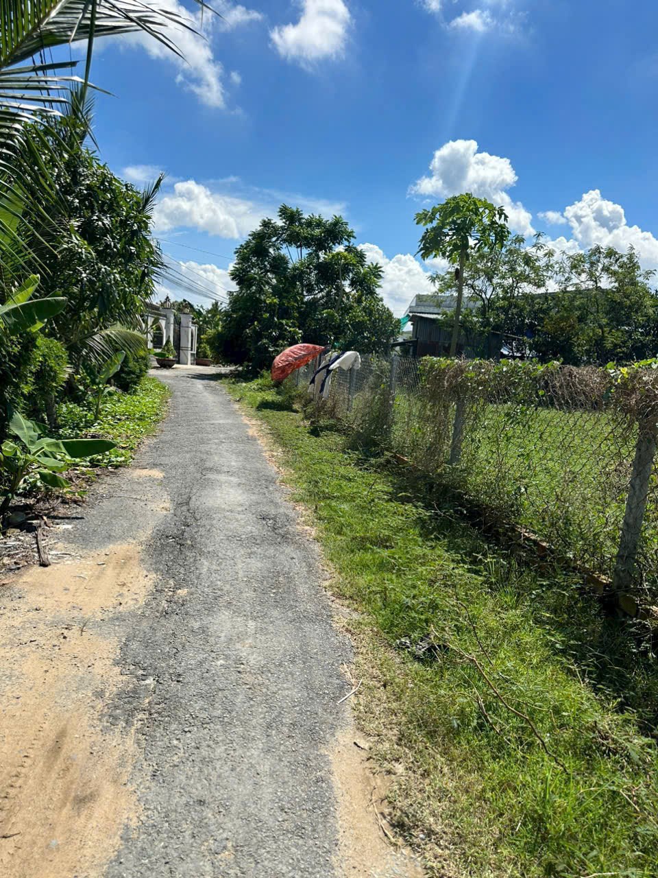 Bán 5 lô đất thổ cư liền kề tại xã Tân Trụ, diện tích 197m² giá chỉ 739 triệu/lô