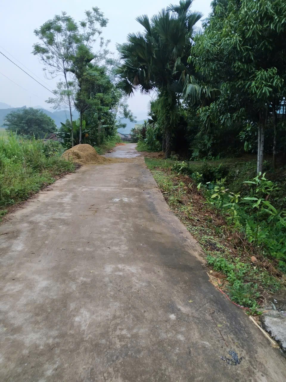 Đất nghỉ dưỡng 7000m² tại Xã Thượng Long - Gần Tuyệt Tình Cốc chỉ 3 tỷ!