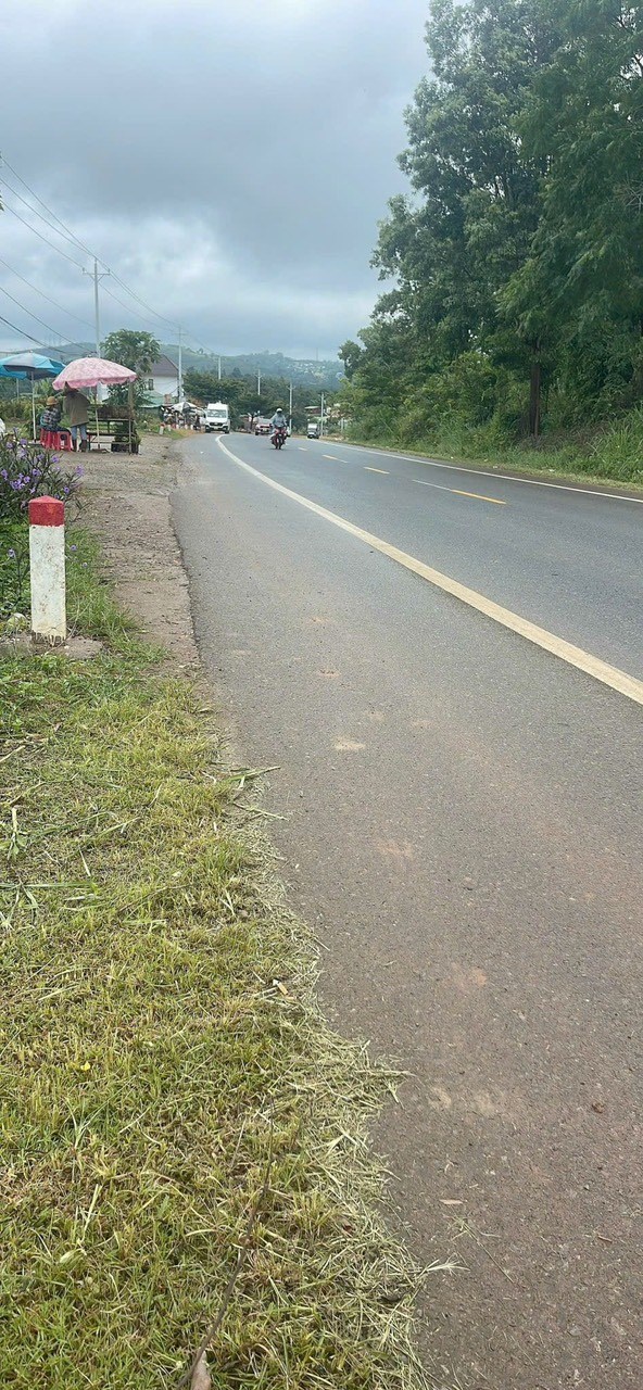 Đất mặt tiền Quốc Lộ 20, Liên Đầm, Di Linh 520m² giá 3 tỷ - Sổ hồng chính chủ!