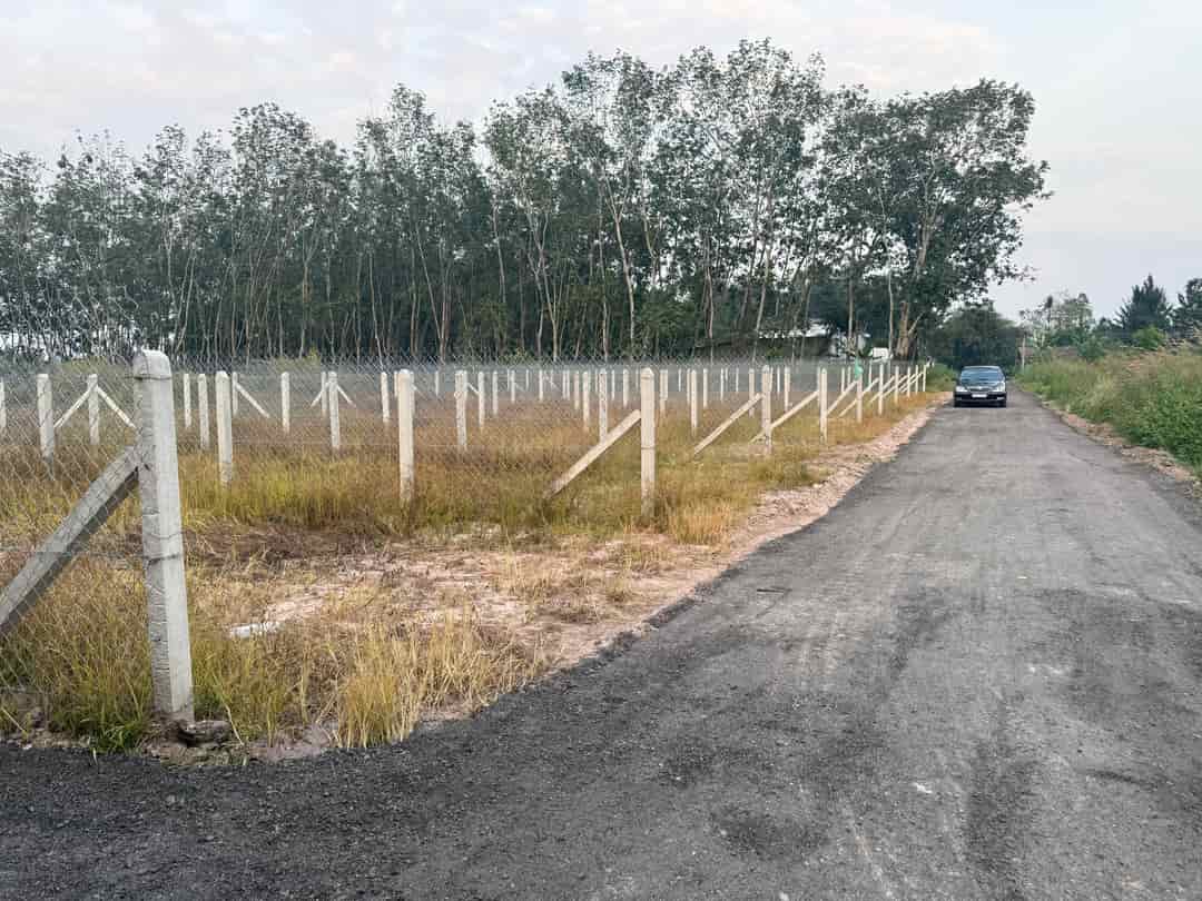 Lô đất 115m² Gò Dầu chỉ 450 triệu - Đầu tư sinh lời ngay!