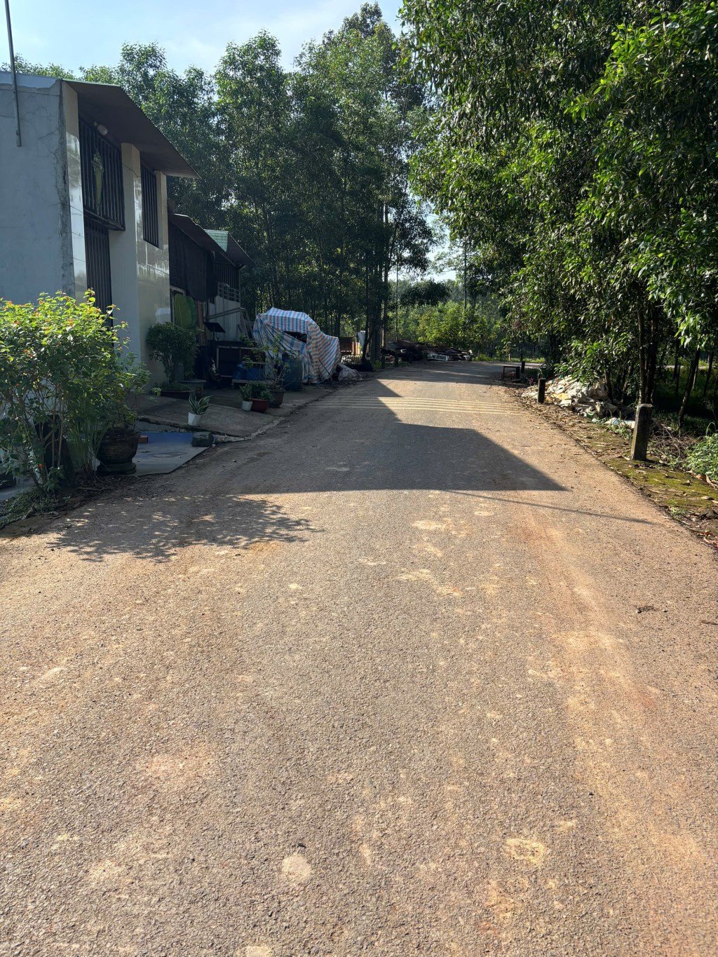 Đất thổ cư 121m² tại An Viễn, Trảng Bom - Giá chỉ 950 triệu, xây dựng tự do!