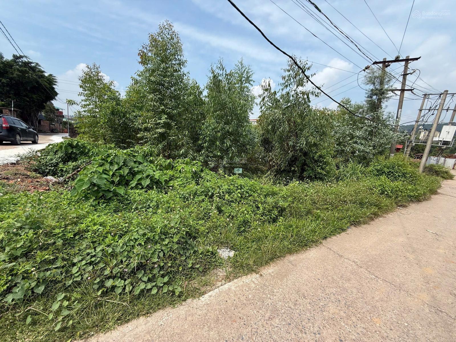 Bán Đất Lô Góc 705m² Tại Xã Minh Phú, Sóc Sơn, Hà Nội - Giá 6.99 Tỷ VND