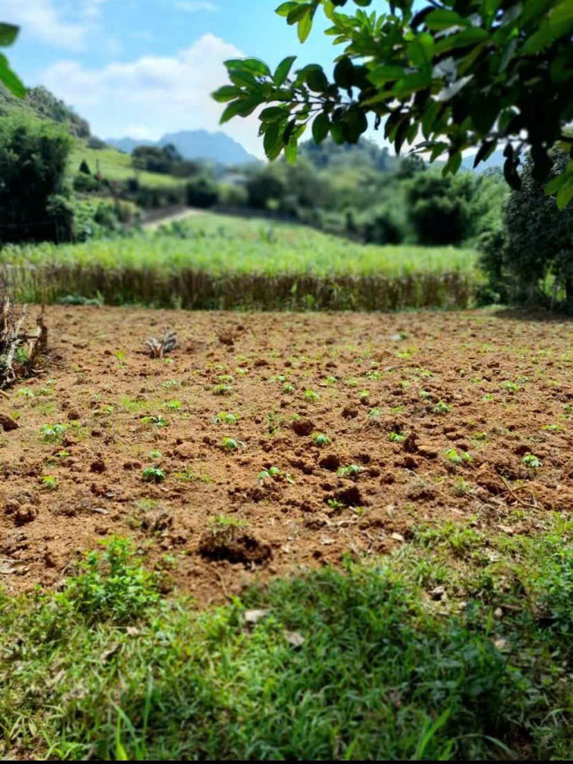 Đất nền 2100m² tại Thu Phong, Cao Phong - Giá chỉ 1.8 tỷ, cơ hội đầu tư hấp dẫn!