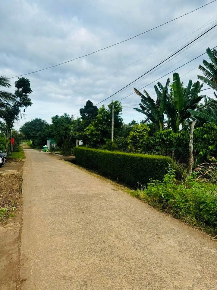 Đất nền chính chủ tại xã Quảng Phú, Cư M'gar - 150m² giá 875 triệu - Sổ hồng đầy đủ!