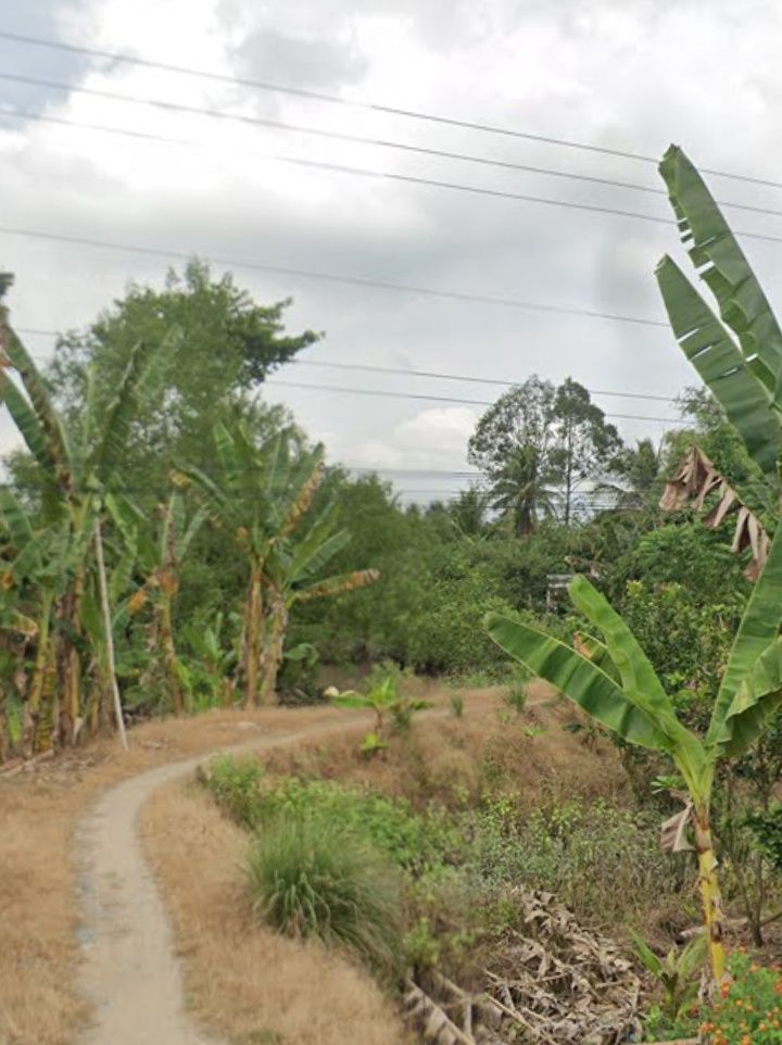 Đất nền 11,000m² tại Tích Thiện, Trà Ôn chỉ 1.485 tỷ - Cơ hội đầu tư tuyệt vời!