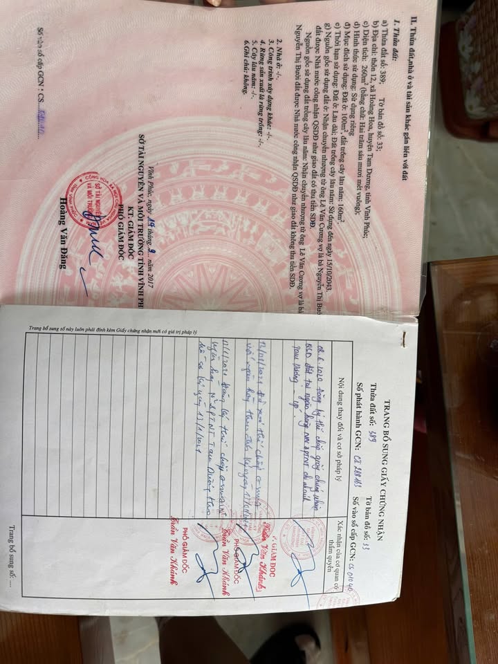 Đất 500m² kèm nhà vườn tại Hoàng Hoa, Tam Dương - Giá chỉ 2.1 tỷ VND!