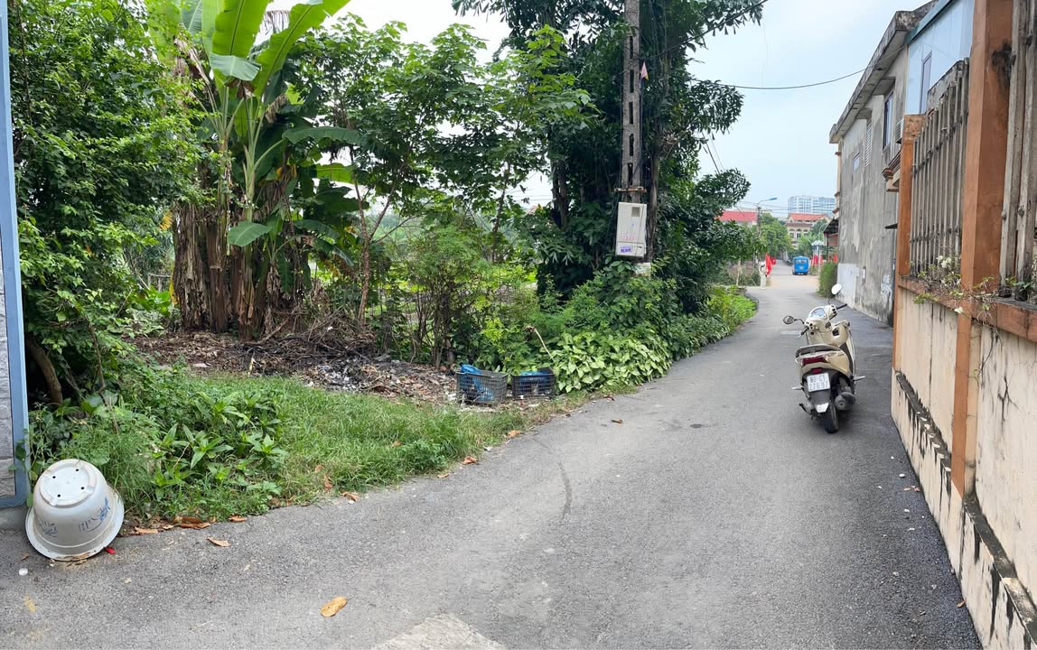 Đất nền 110m² Định Trung, Vĩnh Yên - Đường Lý Thái Tổ, giá thỏa thuận!