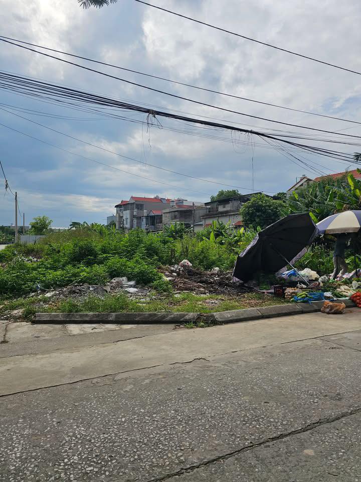 Bán lô đất V1 tái định cư Vĩnh Sinh, Mạo Khê, 300m² chỉ 3 tỷ - Sổ đỏ chính chủ!