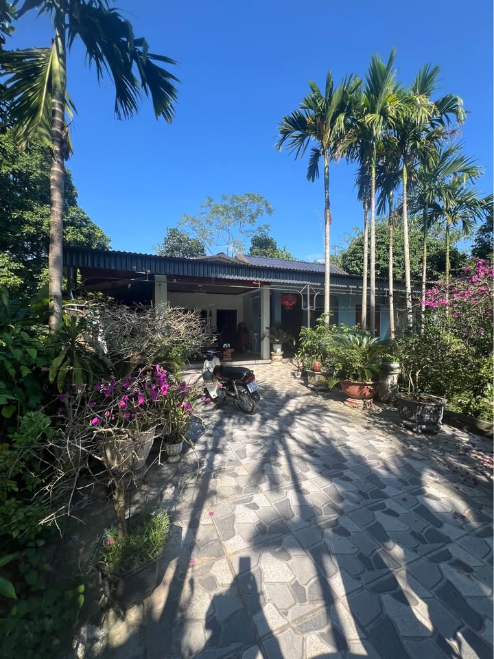 Đất thổ cư Phúc Trìu 850m² giá 2 tỷ - Tiện nghi và đẹp mắt!