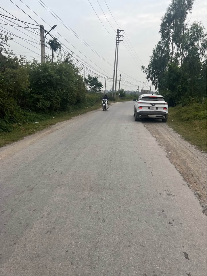 Đất nền Hoàng Tân 183m² giá 40 triệu/m² - Sổ đỏ chính chủ, đầu tư sinh lời!