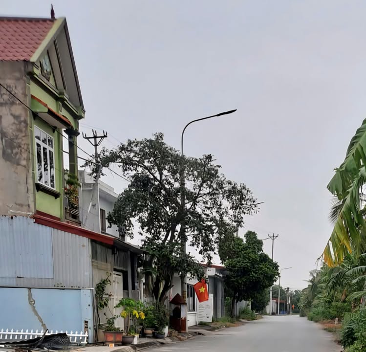 Đất nền mặt đường Thể Nhân, Hòa Nghĩa, giá chỉ từ 1.3 tỷ - Cơ hội đầu tư lý tưởng!