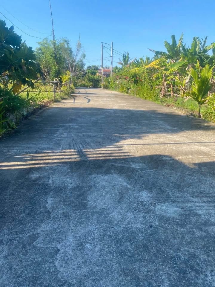 Đất Trà Kiểm Hòa Phước 600m² chỉ 5,5 tỷ - Nhà sẵn, đầu tư dài hạn!