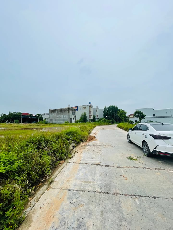 Đất đấu giá tại Cầu Xi, Ngọc Châu 176m² giá 1.7 tỷ - Đầu tư sinh lời ngay!