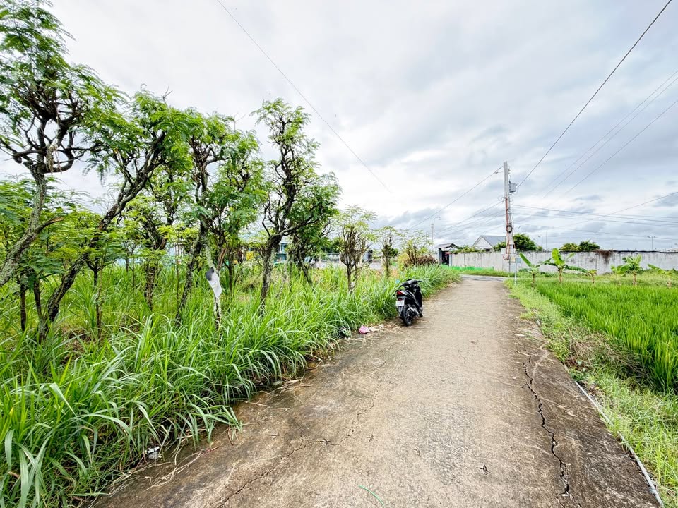 Đất nền ấp Xóm Dinh, Tân Đông, 225m² giá 425 triệu - Đầu tư sinh lời ngay!