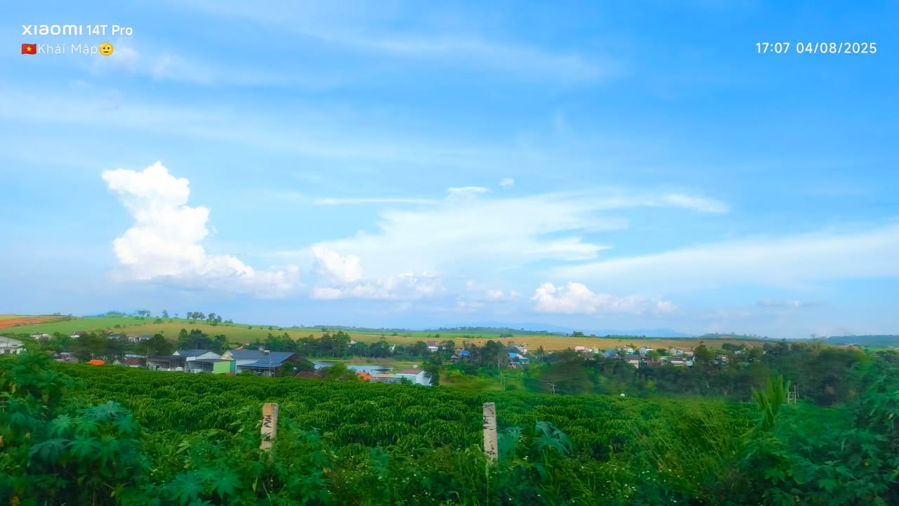 Nhà bán gấp tại Hẻm 453, Phú Hoà, Thủ Dầu Một 119m² - Căn góc hấp dẫn, cho thuê lợi nhuận cao!