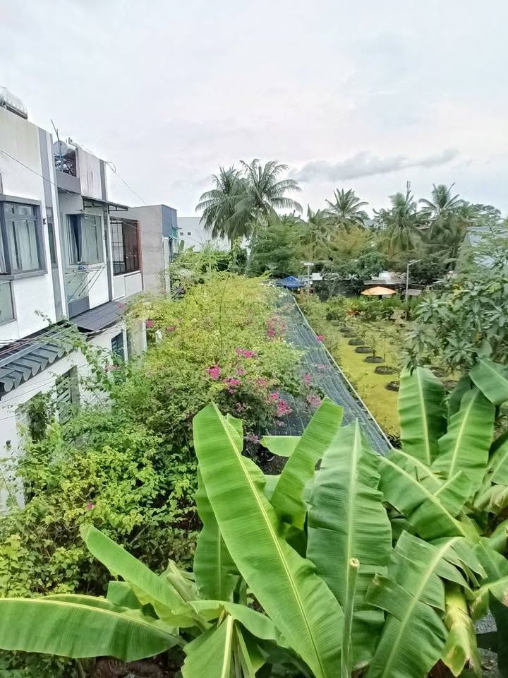 Nhà nguyên căn cho thuê tại P6, Mỹ Tho 3PN giá 8 triệu - Khu vực an ninh, tiện lợi!