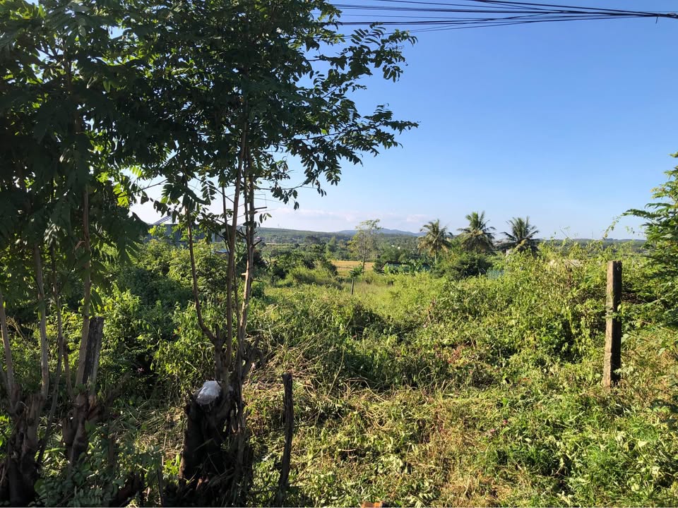 Đất thổ cư 100% thôn 2 Đăk Cấm 420m² giá thương lượng - Cơ hội đầu tư hấp dẫn!