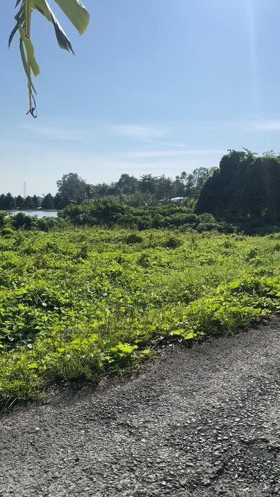 Đất thổ cư 615m² tại Ô Môn, Cần Thơ - Giá 730 triệu, sổ hồng chính chủ!