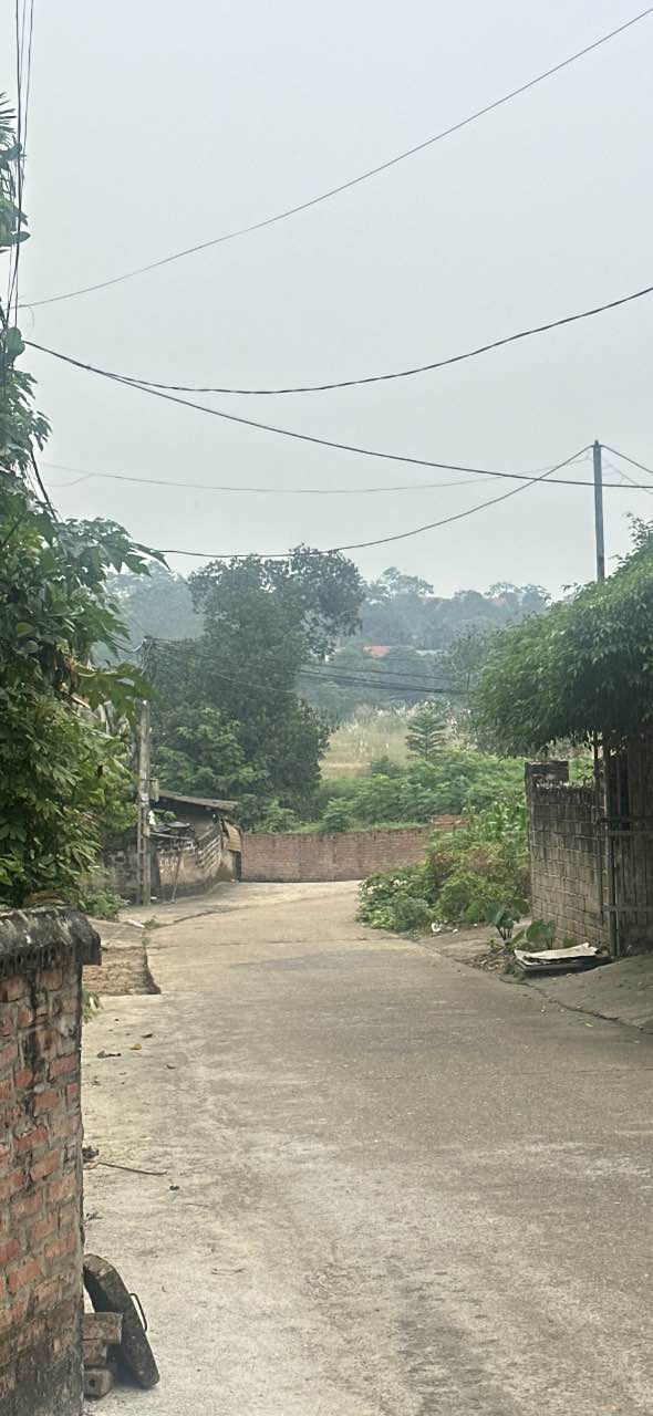 Đất nền Thanh Đình - 133m² giá 1.35 tỷ - Đầu tư sinh lời ngay!