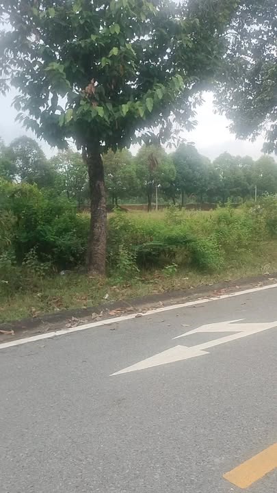 Đất nền Tái định cư Phú Tân 150m² giá chỉ 2.7 tỷ - Sổ đỏ chính chủ ngay trong ngày!