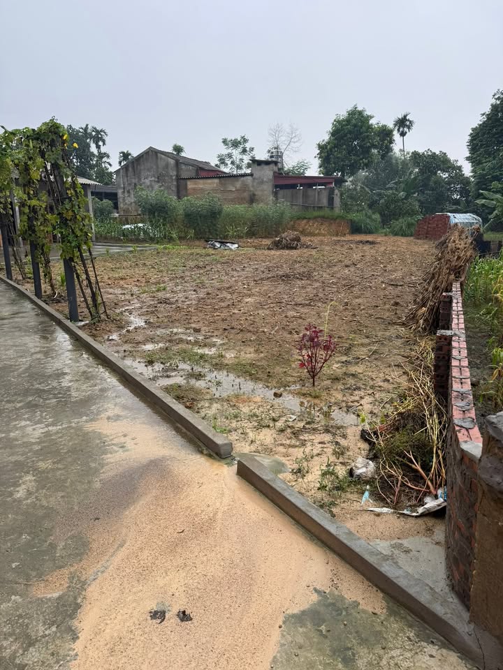 Đất nền Kim Sơn, Đông Triều 300m² giá 12.6 tỷ - Đầu tư sinh lời ngay!