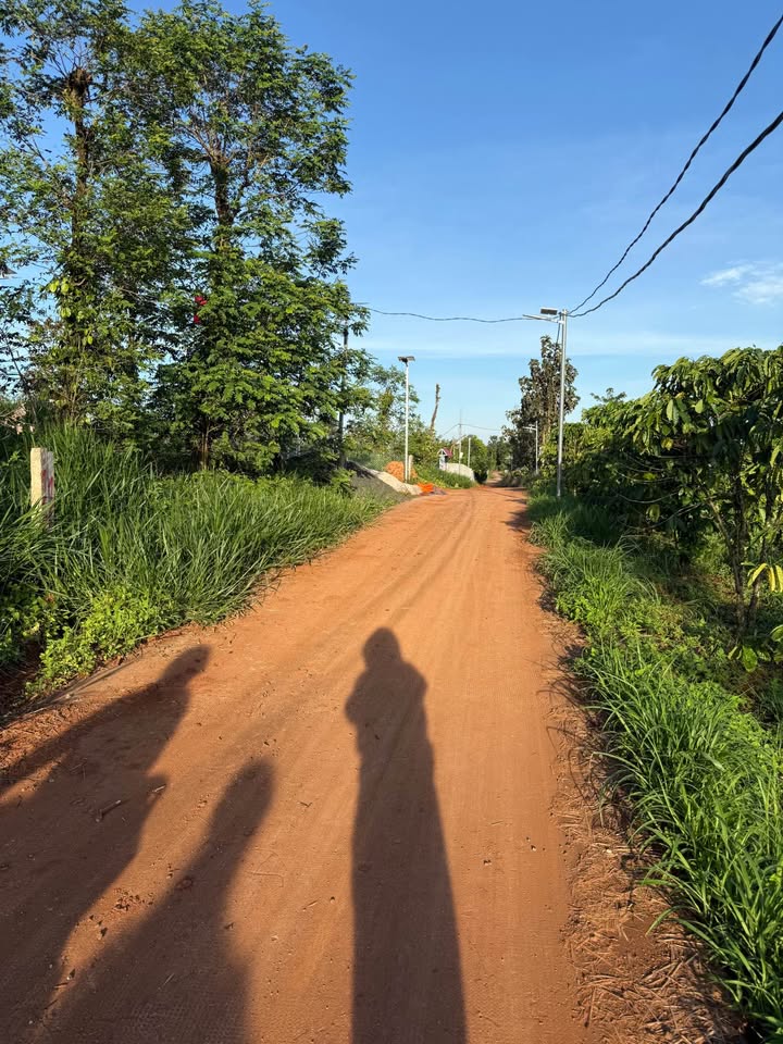 Đất thổ cư 1000m² thôn 15 Đắk Wer giá chỉ 400 triệu - Đất bằng phẳng, dân cư đông đúc!