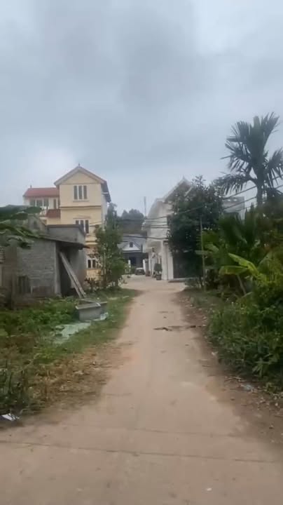 Đất nền Tân Hưng Lạng Giang 200m² giá 2.6 tỷ - Đường rộng ô tô tránh nhau!