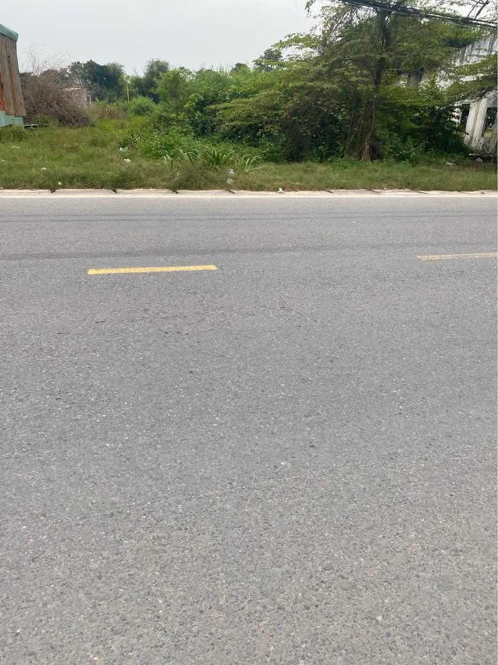 Đất kho xưởng 2700m² tại xã Mỹ Hạnh, Đức Hòa - Sổ đỏ chính chủ, thỏa thuận giá!