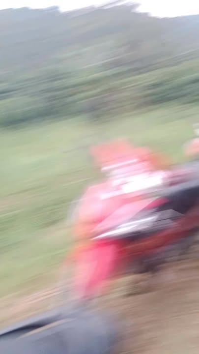 Đất nền Tân Lâm 5600m² giá 800 triệu - Cơ hội đầu tư hấp dẫn!