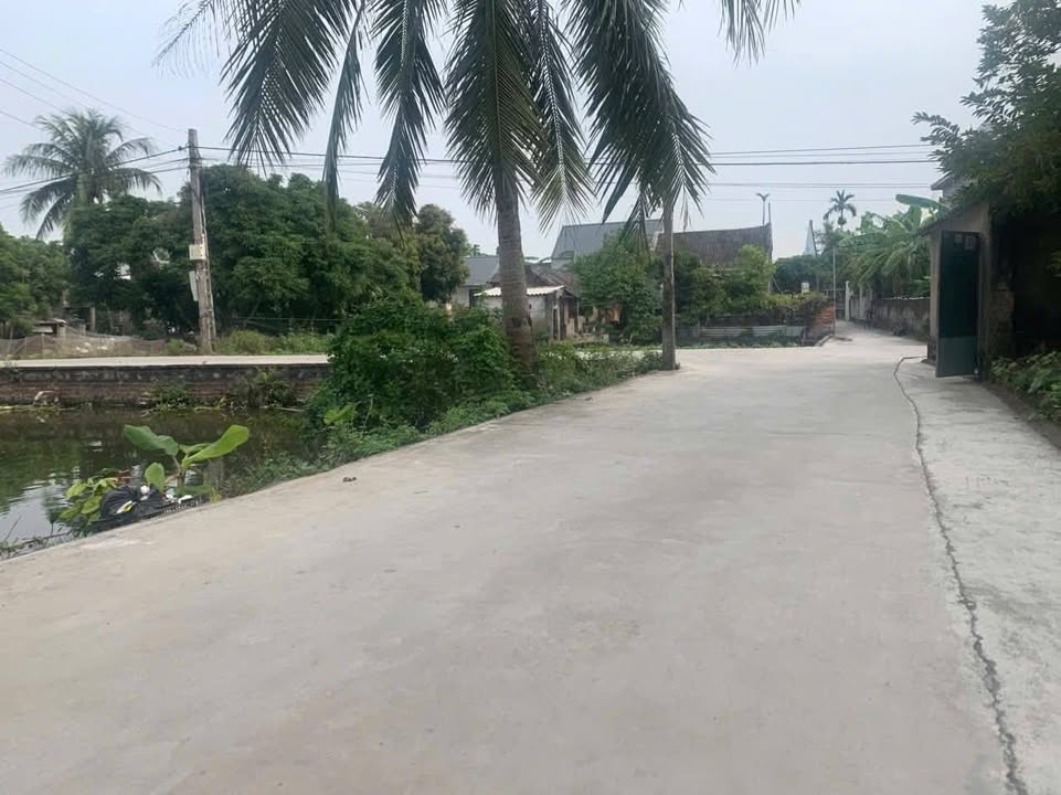 Bán đất thổ cư 260m² tại Hà Kỳ - Tứ Kỳ chỉ 700 triệu - Cơ hội vàng cho đầu tư!