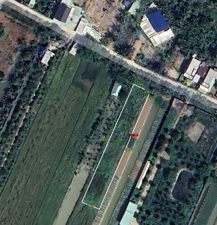 Đất mặt tiền đường 909B, phường Phước Hậu, 1000m² chỉ 4,8 tỷ - Cơ hội đầu tư hấp dẫn!