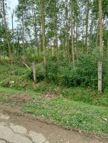 Đất thổ cư tại xã Gia Phố, Hương Khê 200m² giá 1.5 tỷ - Đầu tư sinh lời nhanh!