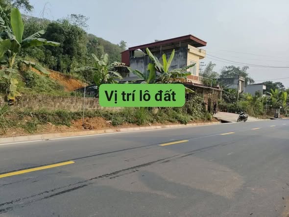 Đất nền thổ cư Võ Lao, Văn Bàn 106m² - Kinh doanh hiệu quả ngay trên tỉnh lộ!