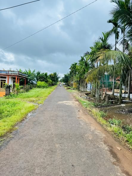 Đất mặt tiền đường nhựa Krông Năng 480m² giá chỉ 115 triệu - Cơ hội đầu tư hiếm có!