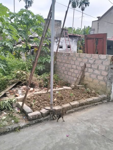 Đất nền Hoa Động Thủy Nguyên 45m² giá chỉ 1.xxx triệu - Pháp lý đầy đủ!